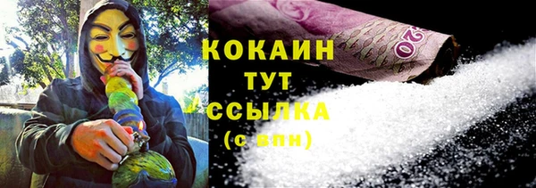 ГАЛЛЮЦИНОГЕННЫЕ ГРИБЫ Алзамай