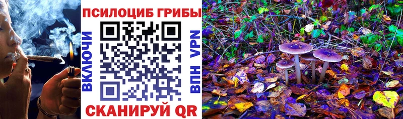 Галлюциногенные грибы прущие грибы  Советская Гавань 